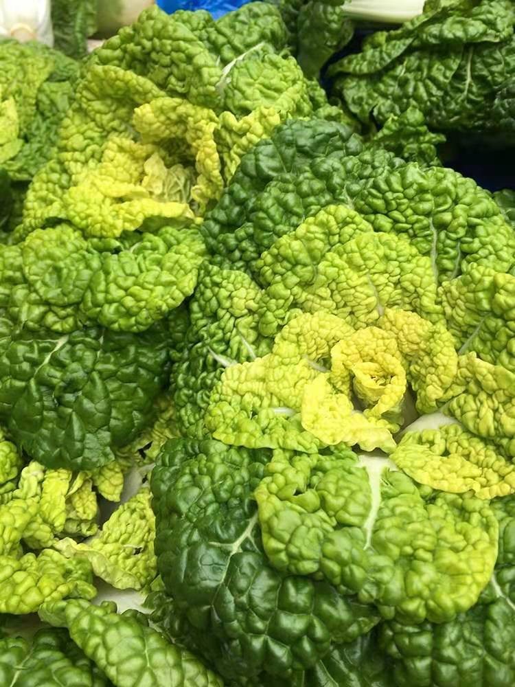 黄心菜新鲜当季霜冻黄 心乌塌  菜青菜黑白菜卷心白菜黄窝窝蔬菜5斤 