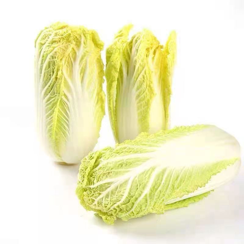 娃娃菜新鲜鸣鹿精品娃娃菜河南鹿邑农家  自种新鲜蔬菜一包3颗1斤半