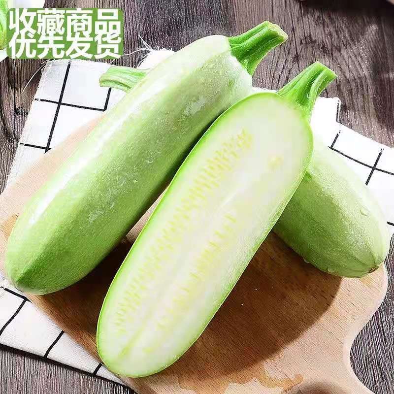 新鲜蔬菜农家自种当季西葫芦现摘现发茭瓜白角瓜孕妇辅食5斤包邮  