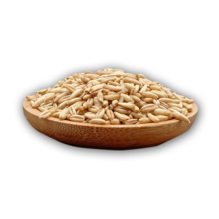 熟燕麦供应 低温烘焙五谷杂粮 农产品燕麦米 粗粮磨粉