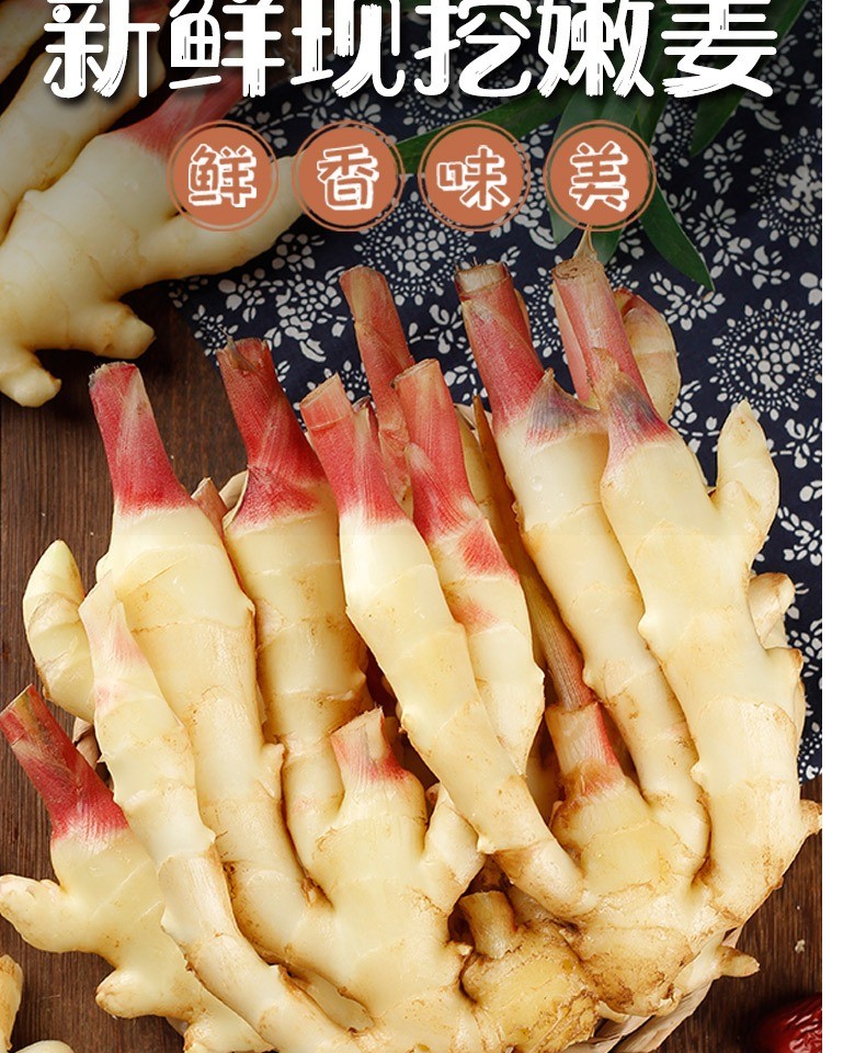农产品有机仔姜嫩姜生长新鲜老姜