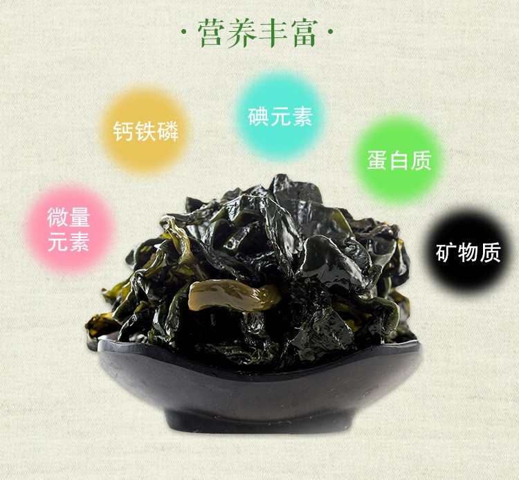 深海整条海带苗 海带