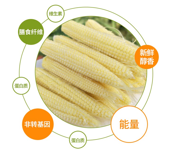 玉米笋鲜嫩蔬菜
