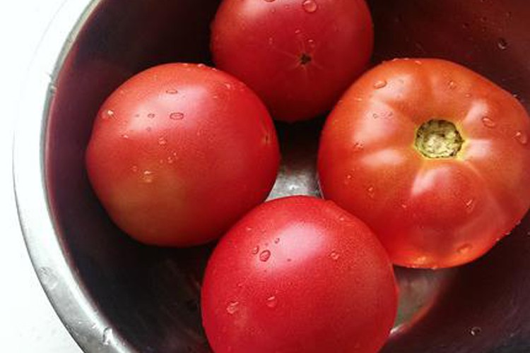 食优鲜农产品现摘自然熟西红柿